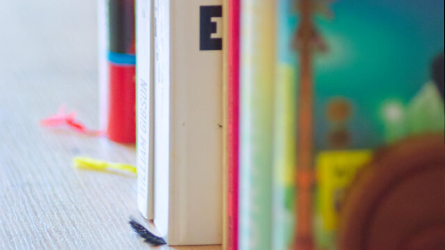 Farbenfrohe Hardcover-B&uuml;chersammlung mit Werken von David Foster Wallace, Bret Easton Ellis und William Gibson auf wei&szlig;em Regal im Schlafzimmer des m&ouml;blierten Premium-Apartments Bamberg