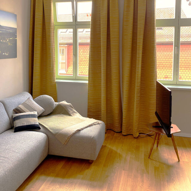 Sonniges Wohnzimmer mit grauem Salz-und-Pfeffer-Sofa, Dekokissen, 45-Zoll Metz HD-Fernseher auf Holz-Retro-St&auml;nder, Paul Neuhaus Icicle-Kronleuchter, goldenen Zimmer & Rohde Vorh&auml;ngen und Blick auf rote Ziegeld&auml;cher im m&ouml;blierten Apartment Bamberg